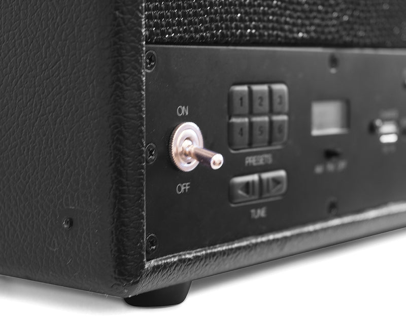 Diffusore stereo portatile wireless Pure Acoustics Edgewater con Bluetooth, 100W (nero)