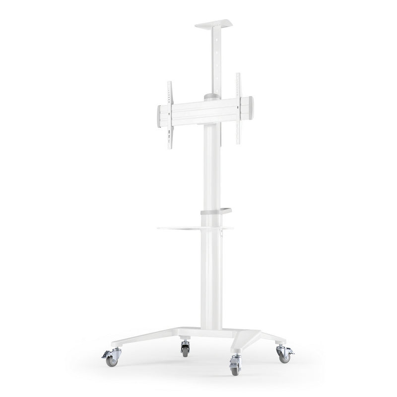 Carrello professionale da pavimento con altezza regolabile per monitor con portata 70kg e VESA fino a 600x400mm, completo di ripiano e alloggio per webcam, bianco