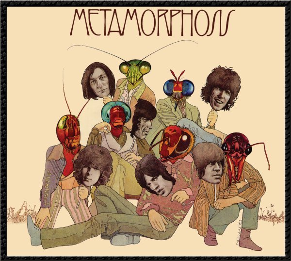 Rolling Stones The - Metamorphosis Lp 0042288234418