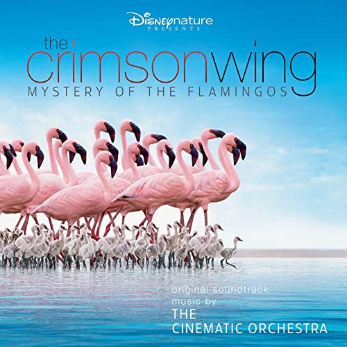 Cinematic Orchestra - The Crimson Wing (Vinyl Pink) (Rsd 2020)