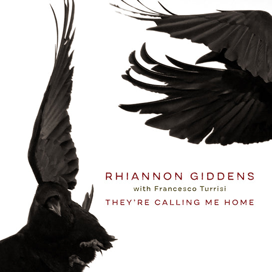 Rhiannon Giddens - They'Re Calling Me Home (With Francesto Turrisi)