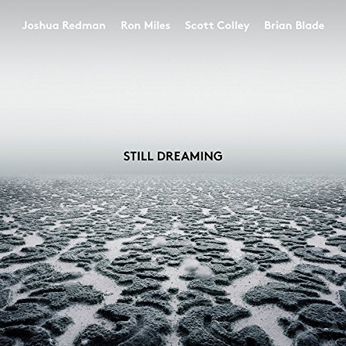 Redman Joshua - Still Dreaming Cd 0075597933086