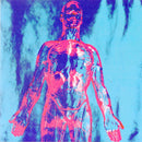 Nirvana - Sliver Lp 0098787007374