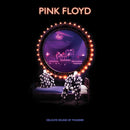Pink Floyd - Delicate Sound Of Thunder (2 Cd Digipack + Booklet 24 Pagine) Cd 0190295215934