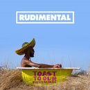 Rudimental - Toast To Our Differences Vinile LP - Vinyl record 0190295612450