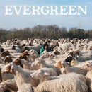 Calcutta - Evergreen...E Altre Canzoni Cd 0190759714829