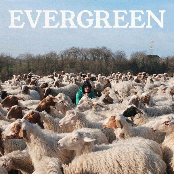 Calcutta - Evergreen...E Altre Canzoni Cd 0190759714829