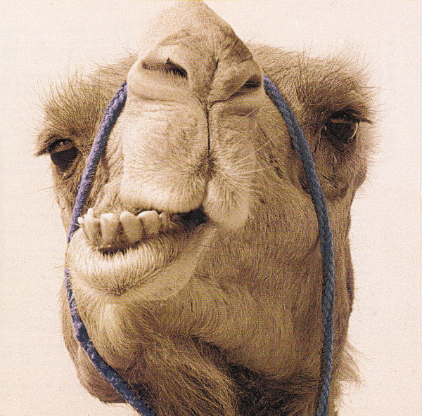 Gazze' Max - Max Gazze' 20Th Anniversary Edt. (180 Gr.) Vinile LP - Vinyl record 0602435039251