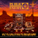 Public Enemy - What You Gonna Do When The Lp 0602435152424