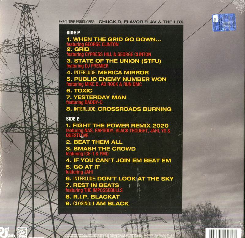 Public Enemy - What You Gonna Do When The Lp 0602435152424