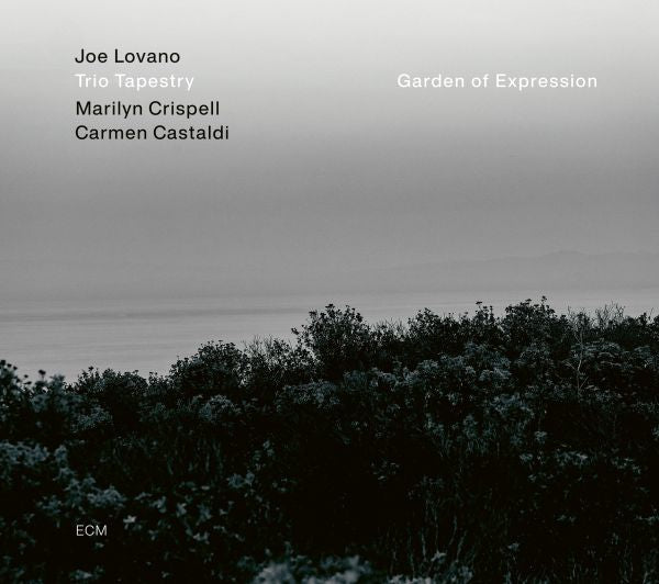 Lovano Joe - Garden Of Expression Lp 0602435206387