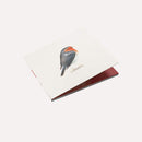 Brunori Sas - Cip! Cd 0602508602467