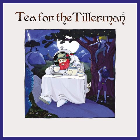 Stevens Cat - Tea For The Tillerman 2 Vinile LP - Vinyl record 0602508886959