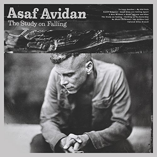 Avidan Asaf - The Study Of Falling