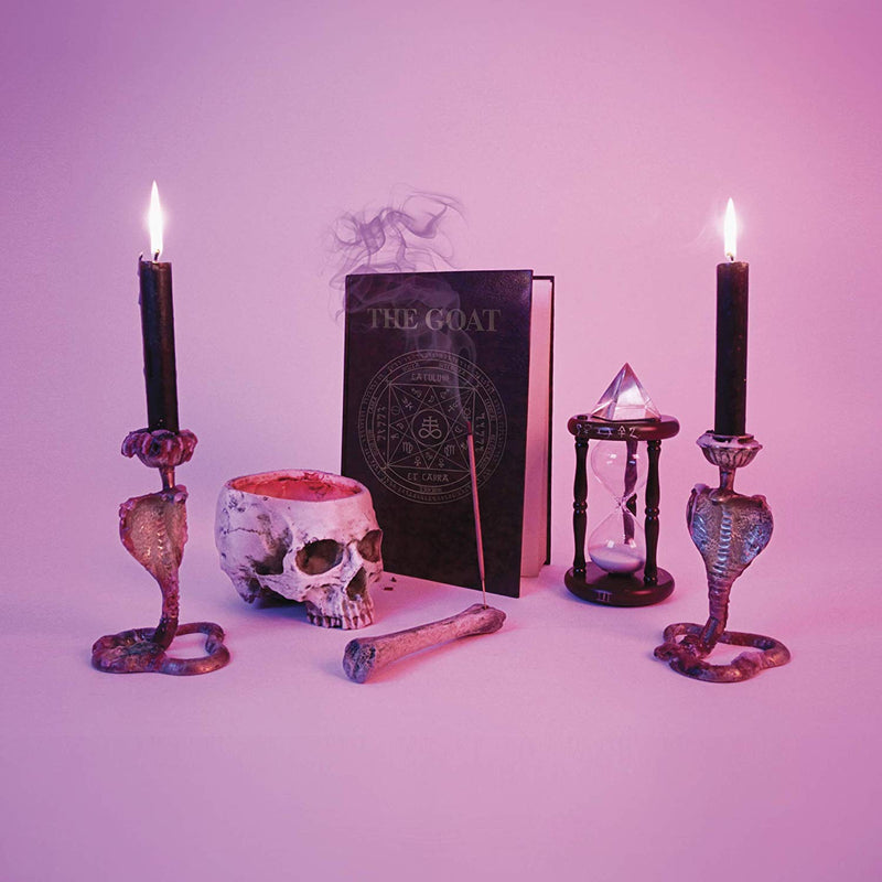 Puppy - The Goat Vinile LP - Vinyl record 0602567909156