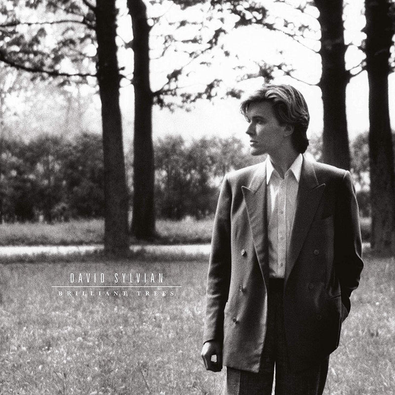 Sylvian David - Brilliant Trees (180 Gr. Deluxe Black Vinyl)