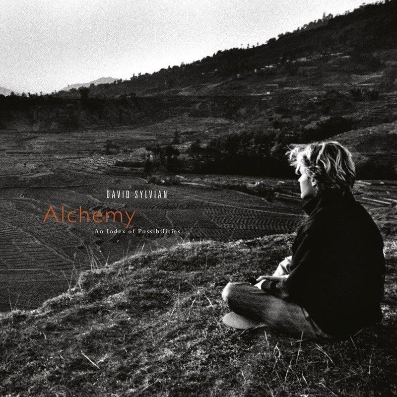 Sylvian David - Alchemy: An Index Of Possibility (180 Gr. Deluxe Black Vinyl) Vinile LP - Vinyl record 0602567953333