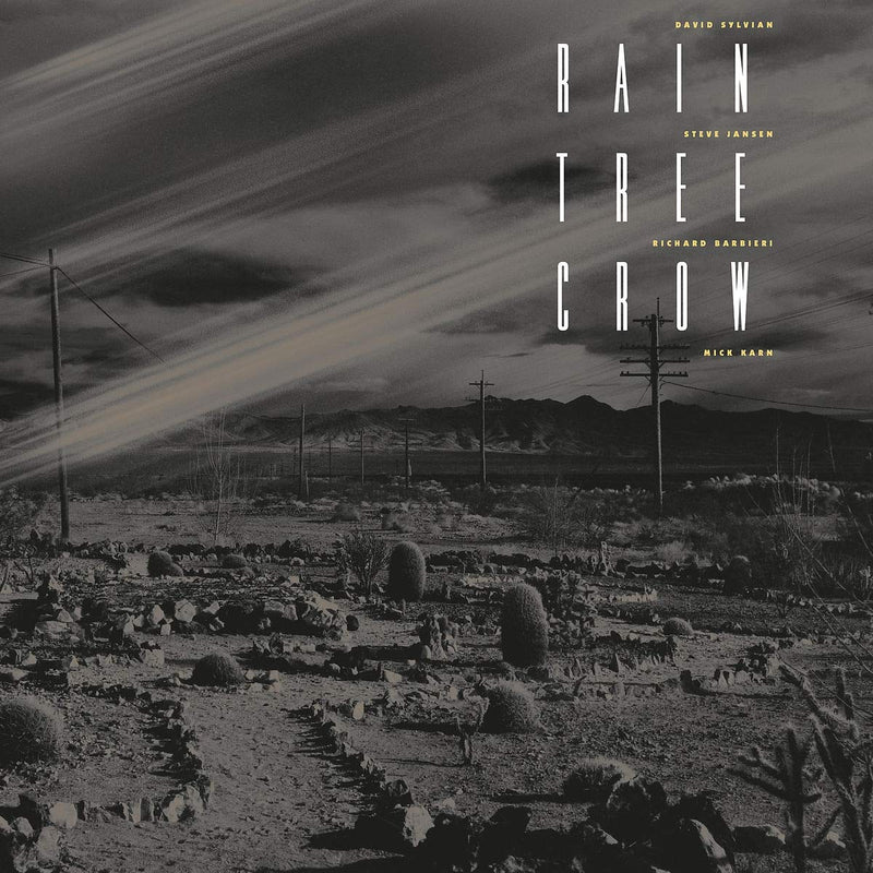Rain Tree Crow - Rain Tree Crow (180 Gr. Deluxe Edt. Black Vinyl) Vinile LP - Vinyl record 0602567953418