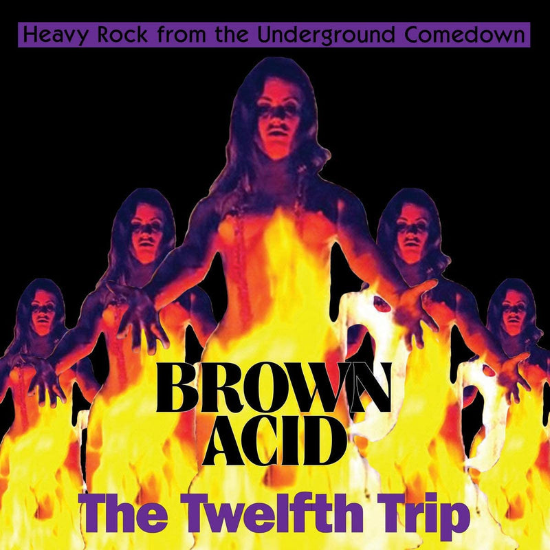 Compilation - Brown Acid The Twelfth Trip