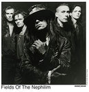 Fields Of The Nephilim - Elizium (30Th Anniversary Edt.) Lp 0607618218317