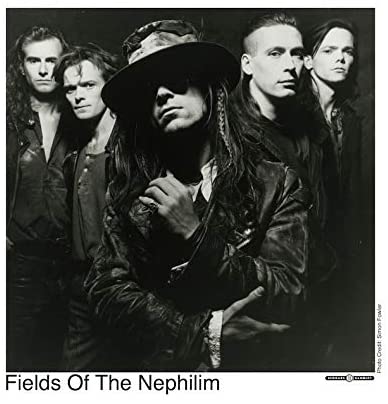 Fields Of The Nephilim - Elizium (30Th Anniversary Edt.) Lp 0607618218317