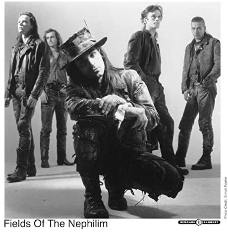 Fields Of The Nephilim - Elizium (30Th Anniversary Edt.) Lp 0607618218317