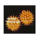 Ozric Tentacles - Floating Seeds Remixed Cd 0636551616225