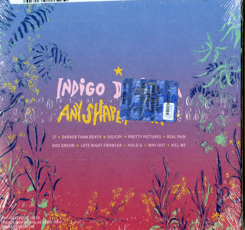 Indigo De Souza - Any Shape Of You Lp 0648401031812