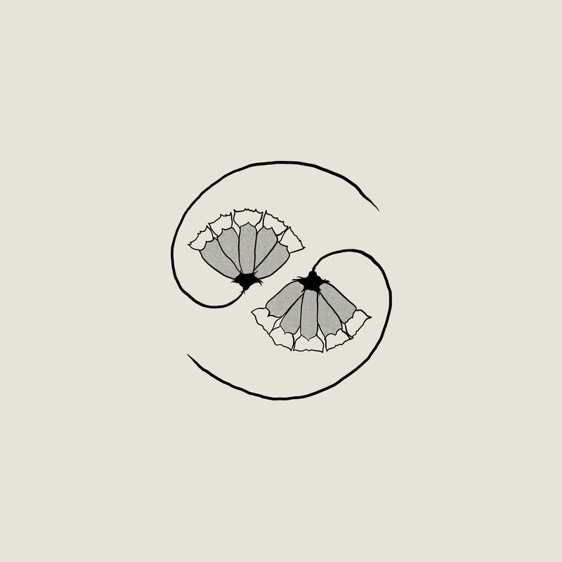 Godspeed You! Black - Gd' S Pee At State S End! Lp 0666561015619