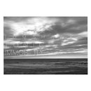 Tomahawk - Tonic Immobility Cd 0689230023524