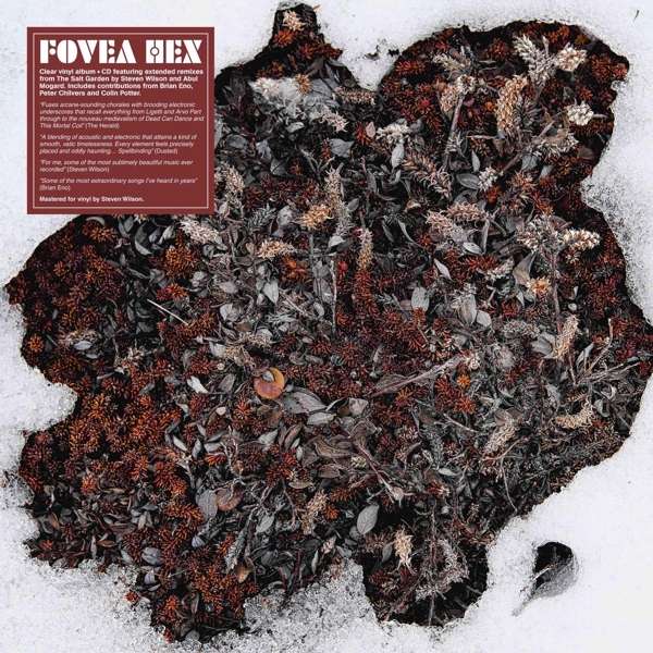 Fovea Hex - Salt Garden (Landscaped)