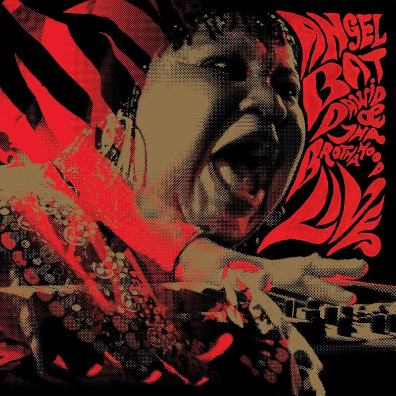 Dawid Angel Bat & Tha Brothahood - Live Lp 0789993991112