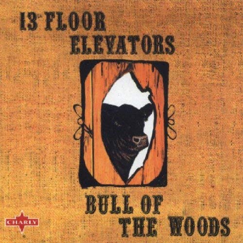 13Th Floor Elevetors - Bull Of The Woods