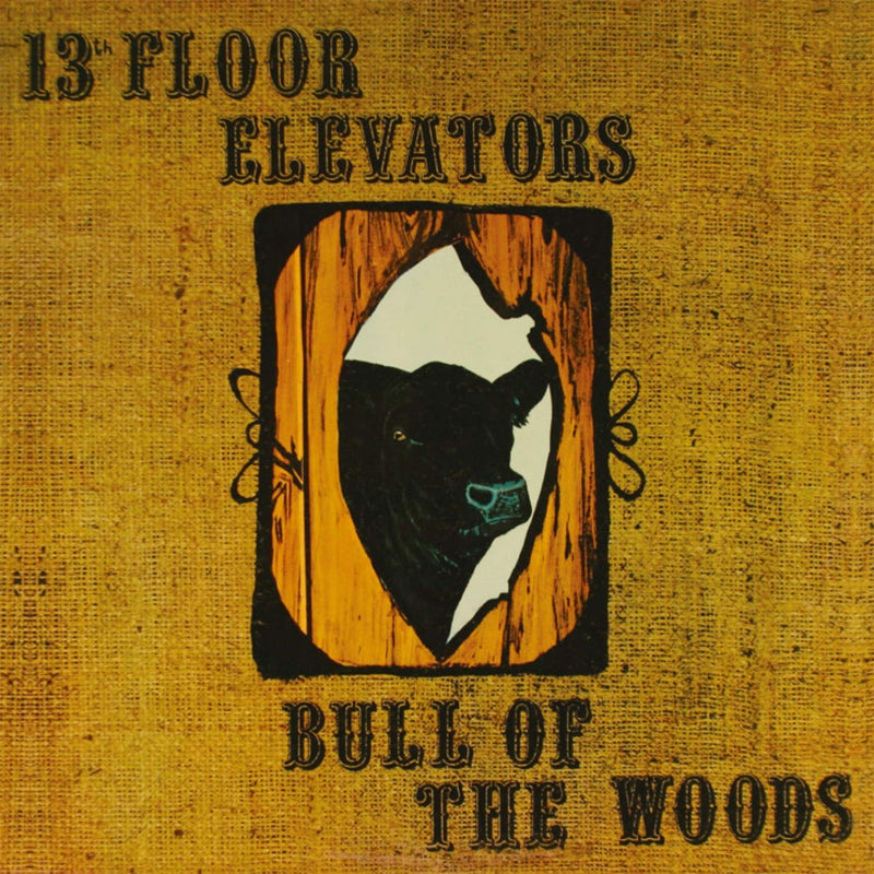 13Th Floor Elevators - Bull Of The Woods