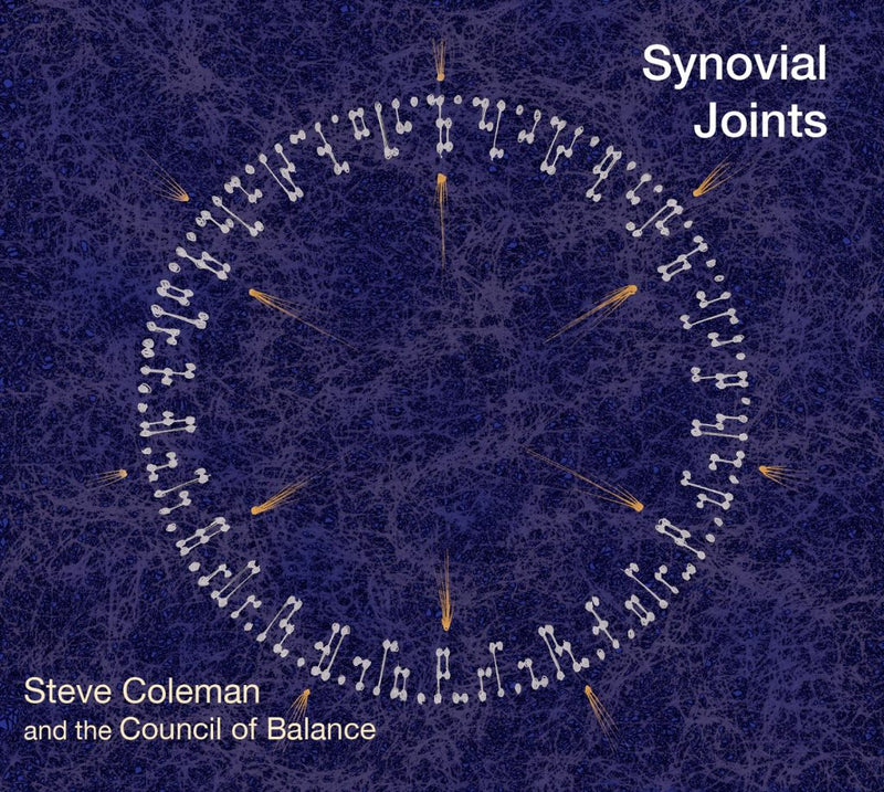 Coleman Steve - Synovial Joints Cd 0808713005721