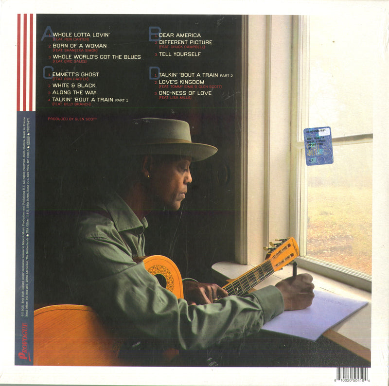 Bibb Eric - Dear America (180 Gr.) Lp 0810020504194