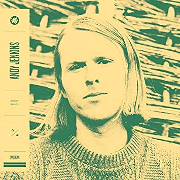 Jenkins Andy - Sweet Bunch Vinile LP - Vinyl record 0810599022037