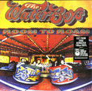 Waterboys The - Room To Roam Lp 0825646112951