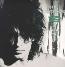 Waterboys The - Pagan Place Lp 0825646293643