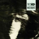 Waterboys The - The Waterboys Lp 0825646310814