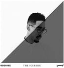 Oddisee - The Iceberg