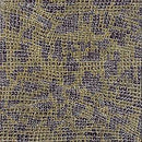 Gabriel Peter - Long Walk Home Lp 0884108005187