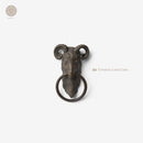 Zu - Terminalia Amazonia Lp 0884388160798