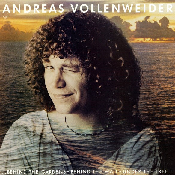 Vollenweider Andreas - Behind The Gardens - Behind The Wall Lp 0885513022813