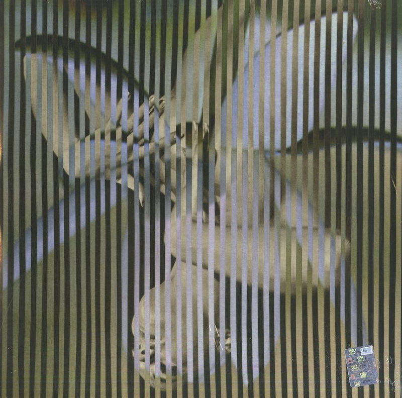 Franz Ferdinand - Always Ascending Lp 0887828040810