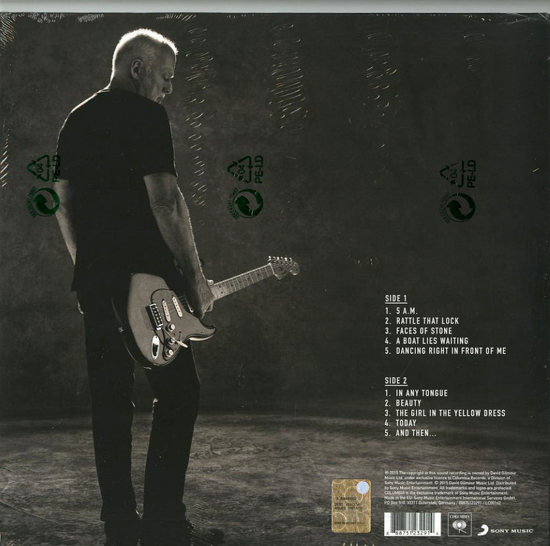 Gilmour David - Rattle That Lock Lp 0888751232914