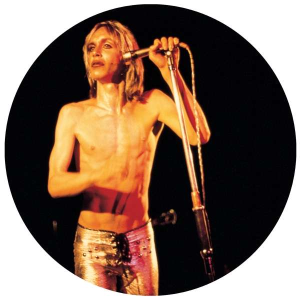 Pop Iggy & The Stooges - More Power (Picture Disc) Lp 0889466183713