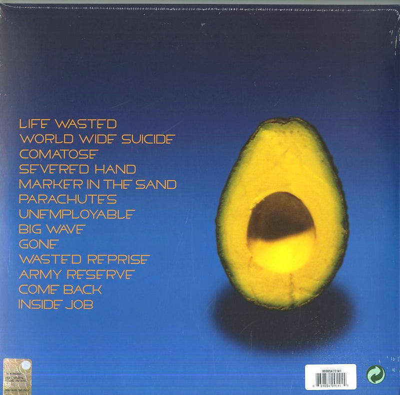 Pearl Jam - Pearl Jam Vinile LP - Vinyl record 0889854091415