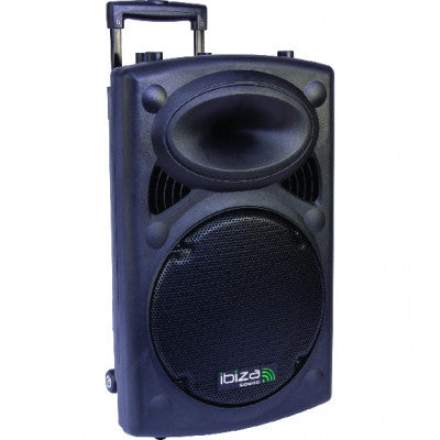 Portable 12”/30 cm Stand-alone PA System with USB, VOX, REC, Bluetooth and 2 x VHF Wireless Mics