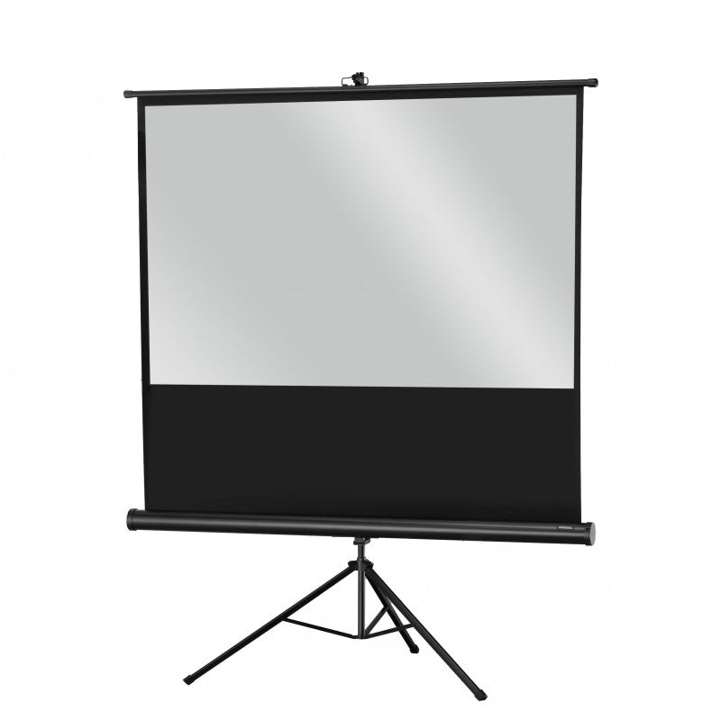 Tripod Economy 1090022 - Tripod Economy screen, 219 x 123 cm, 16:9